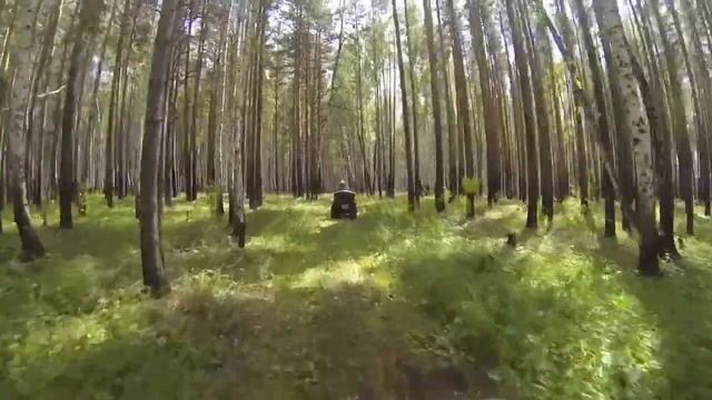 Лайт Покатушки на квадроциклах CF Moto 500 и CF Moto x6. смотреть онлайн