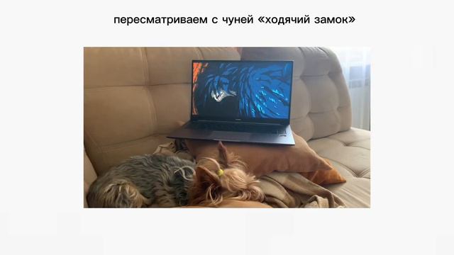 видео без голоса смотреть онлайн