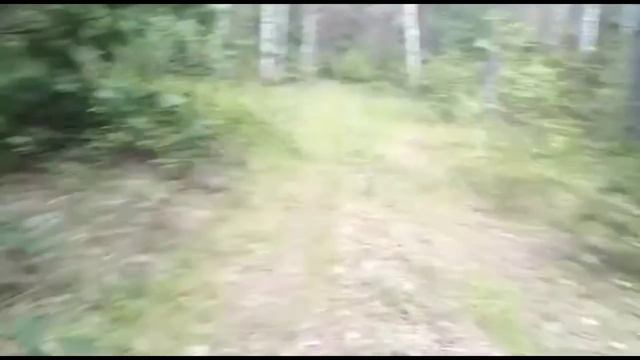 Опасное путешествие ☠️ смотреть онлайн