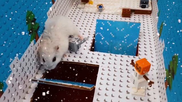 ? MINECRAFT SPIDER - Hamster Maze with Traps ☠️ [OBSTACLE COURSE] смотреть онлайн