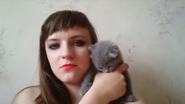Особенности вислоухих котят смотреть онлайн