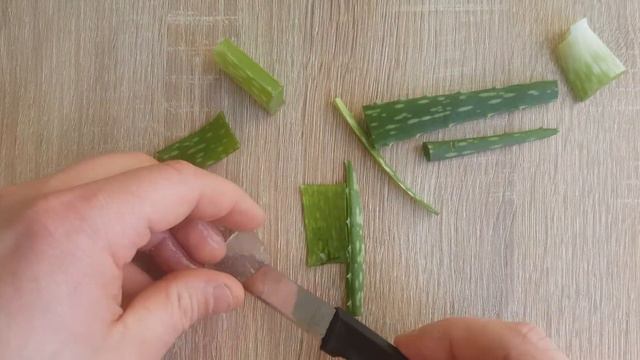 Aleo Vera zerschneiden und essen Amazing Stuff смотреть онлайн