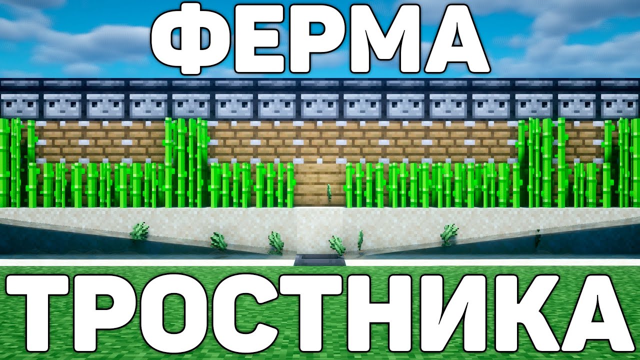 САМАЯ ЛУЧШАЯ АФК ФЕРМА ТРОСТНИКА В МАЙНКРАФТ! смотреть онлайн