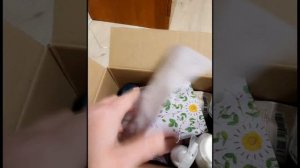 ОТКРЫЛА ПУНКТ ВЫДАЧИ ФАБЕРЛИК!