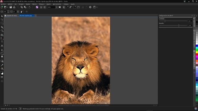 CorelDRAW Graphics Suite X8 - Presentación de Lanzamiento en Español. смотреть онлайн