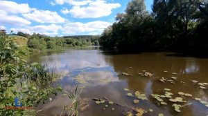 Рыбалка в Подмосковье на реке Осетр