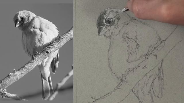 Are these pencils magic? No more graphite shine? Drawing with black pencils by Staedtler. смотреть онлайн