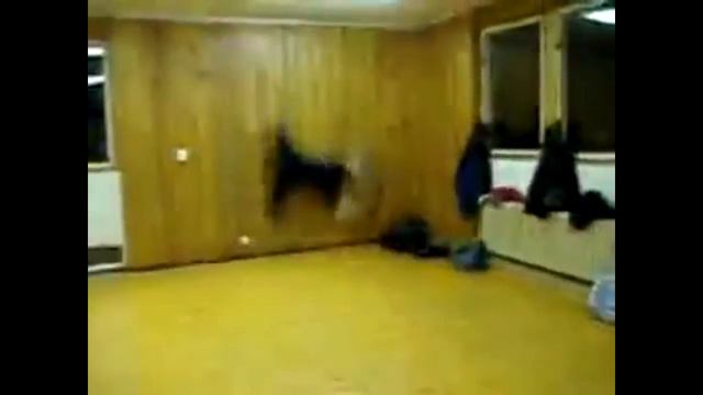 Музыку можно сделать из чего угодно #5 смотреть онлайн