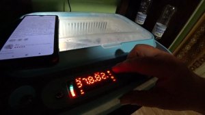 Провальная инкубация с китайского инкубатора