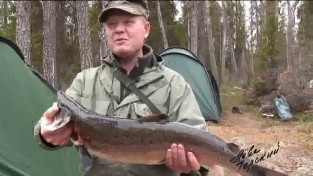 Комментария не требует