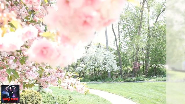 Spring | Spring Music, Spring Relaxation, Beautiful Spring Music