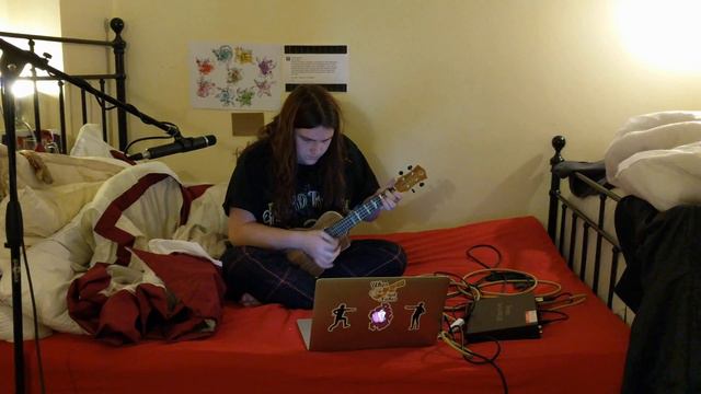 House Of The Rising Sun Ukulele Cover