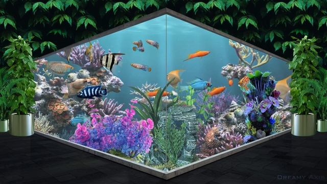 Aquarium Relax | Screensaver  | Aquarium Relaxing Music