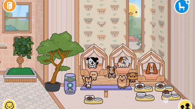 приют для собак и кошек ❤️🥰. 2 часть смотреть онлайн