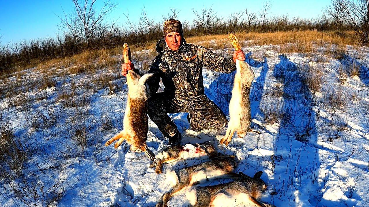 ЛУЧШАЯ ОХОТА НА ЗАЙЦА!!! ДОБЫЛ НОРМУ ЗА 1 МИНУТУ!!! ОЧЕНЬ МНОГО ЗАЙЦЕВ / MAX HUNTER смотреть онлайн