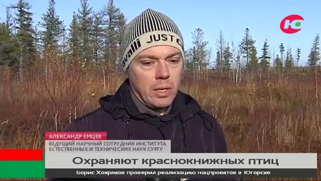 Краснокнижные орлан белохвост смотреть онлайн