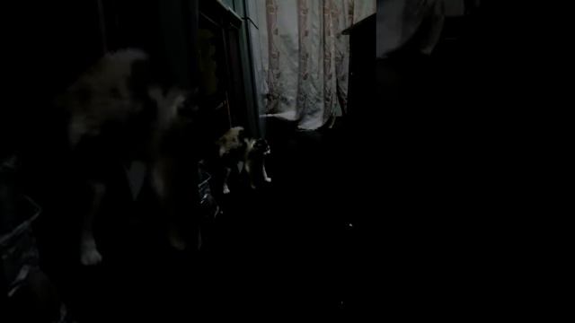 #домовой или привидение?... смотреть онлайн