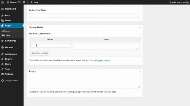 Creating a Category Blog Page with Genesis смотреть онлайн