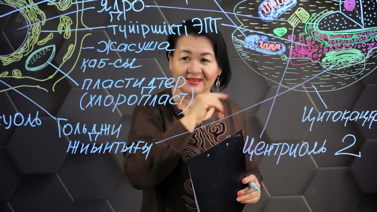 Өсімдіктер мен жануарлар жасушаларының құрылысы және қызметтерінің ерекшеліктері. 2 бөлім. 10 сынып. смотреть онлайн