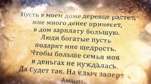 Заговор при посадке денежного дерева.  Денежное дерево: ритуал при посадке Толстянки#Берегиня