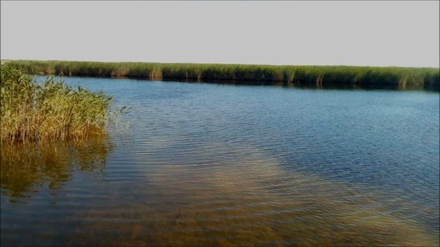 Хутор Красный Дар, Щербиновский район, Краснодарский край, съёмка 06.07.2020 смотреть онлайн