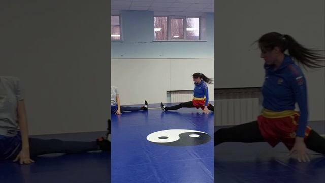 10.04.23 тренировка у спортсменов Федерации Савата Липецкой области. Данков. #Shatalov Team# смотреть онлайн