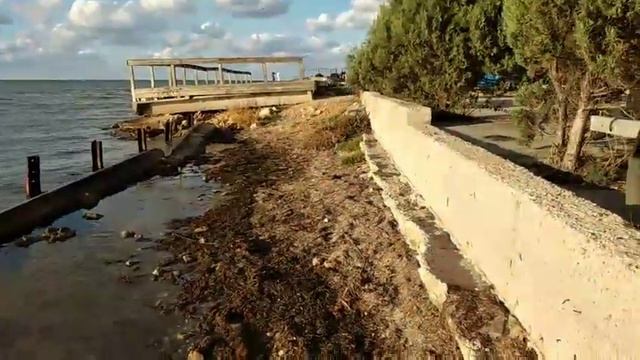 п-к Роман-Кош..Роман-Кош Демир, Деня на море. сын РК Морриса и РК Евридики. 2 г.2020г
