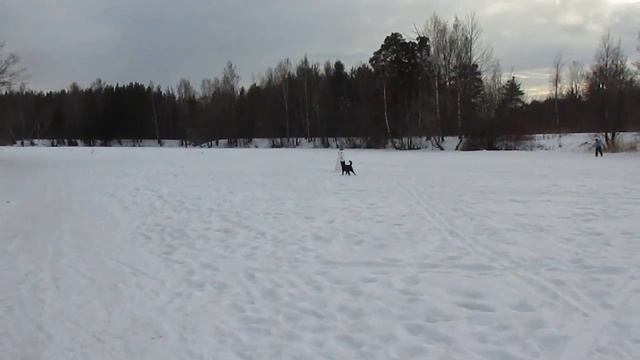 Кельт и снеговик смотреть онлайн