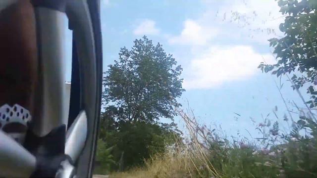 Canyonero? смотреть онлайн