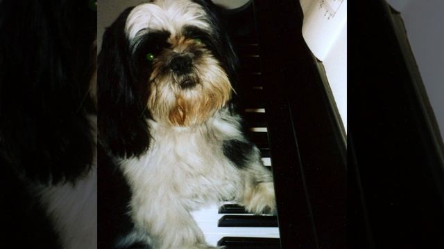 Chopin Waltz in A-flat Major смотреть онлайн
