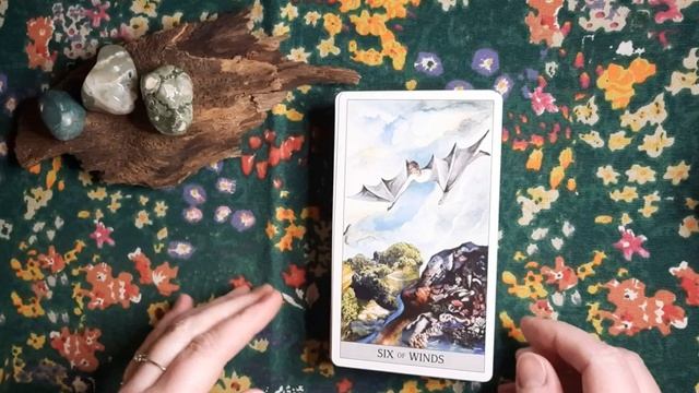 A contradictory collection of decks! (Poking fun at myself!) #contradictorydecks #tarotcollection смотреть онлайн