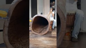 Большой (225 см) диджериду из вяза в ноте До. #didgeridoo