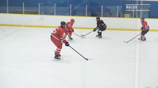 14-Year-Old PHENOM Connor Bedard Puts on CLINIC at BC Spring HOCKEY Tournament!!! смотреть онлайн