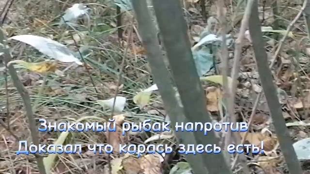 Проверка болота за озером Горбатым, на наличие рыбы/Рыбалка на поплавок/Орехово-Зуево смотреть онлайн