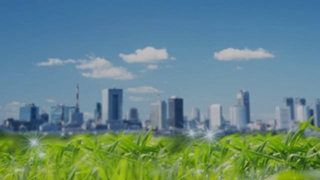 Город как экосистема (рассказывает биолог Татьяна Зоренко) смотреть онлайн