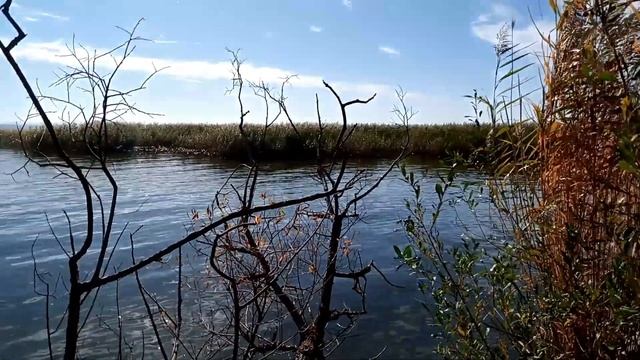 Калининградская область интересные места и что посмотреть Светлогорск Зеленоградск Куршская коса смотреть онлайн