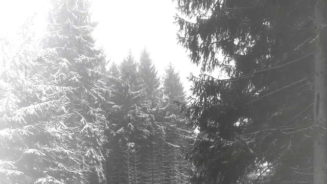 Cold hey (Холод хэй) смотреть онлайн