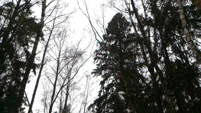 Мытищинский лесопарк зимой и моя снежная фигура (арка)