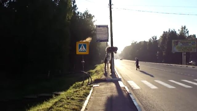 Дорожный Знак, раннее утро, испаряется роса. Интересный ракурс. смотреть онлайн