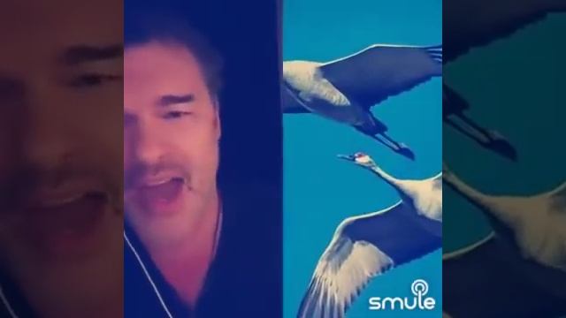 Журавли Евгений Дятлов & .../G/... смотреть онлайн