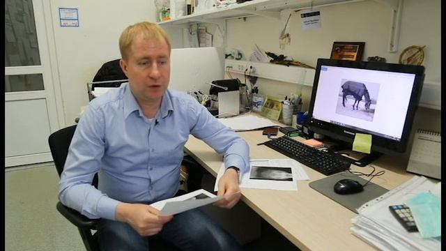 Прямой эфир от 15.04.2020