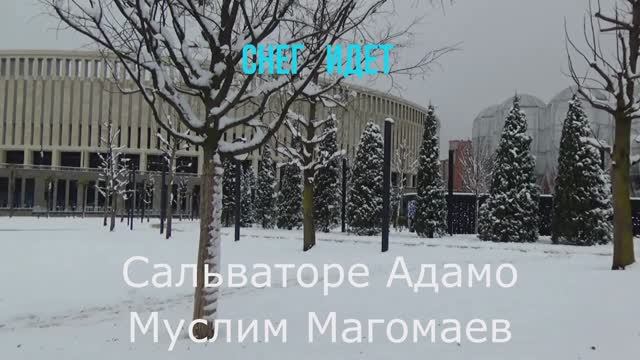 Парк Галицкого,зима 2020-2021