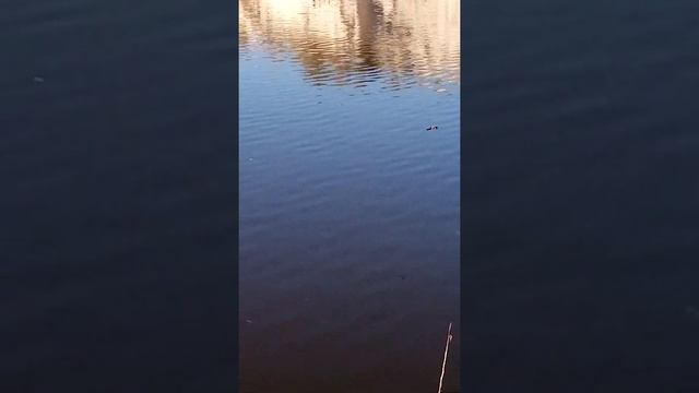 3 мая 2020 г. г. Самара рыбалка на реке Сок. смотреть онлайн