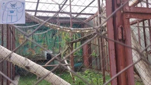 Квадран. Гуляем по Пермскому Зоопарку. Камиль Новиков.