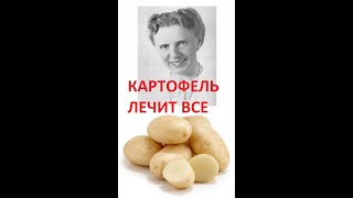 КАРТОФЕЛЬ целебное питание по Шаталовой смотреть онлайн