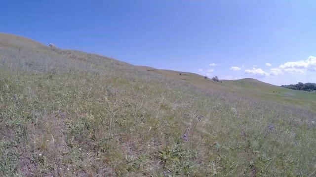 Холмы с цветами для пчёл. Что за цветы кто угадает первый? смотреть онлайн