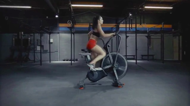 Schwinn Fitness Airdyne AD8 смотреть онлайн