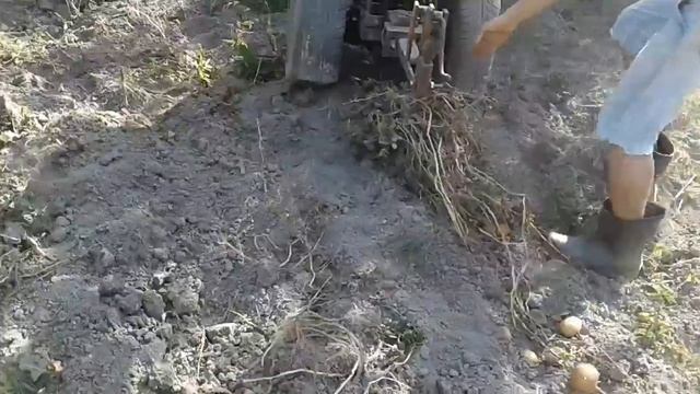 Копка картошки самодельным мотоблоком с двигателем зид 4.5 смотреть онлайн