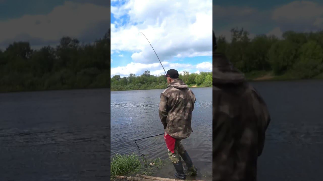 ВЕСНА ПРИШЛА, РЫБА ПРОСНУЛАСЬ #fish #fishing #рыбалка #лещ #лещнафидер #рек смотреть онлайн