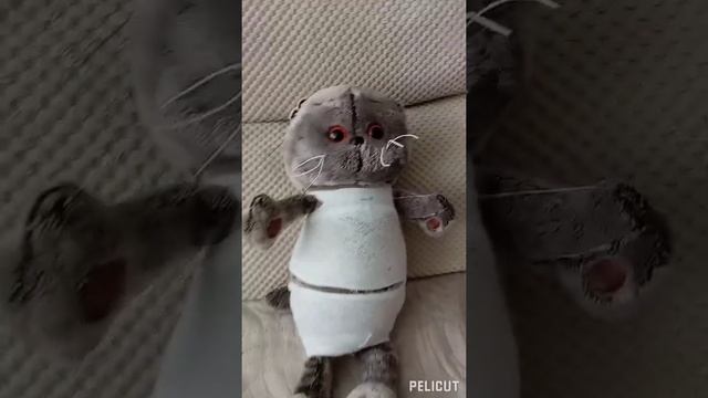 Басик в разной одежде#басики смотреть онлайн